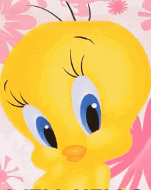 Gif Titi rose